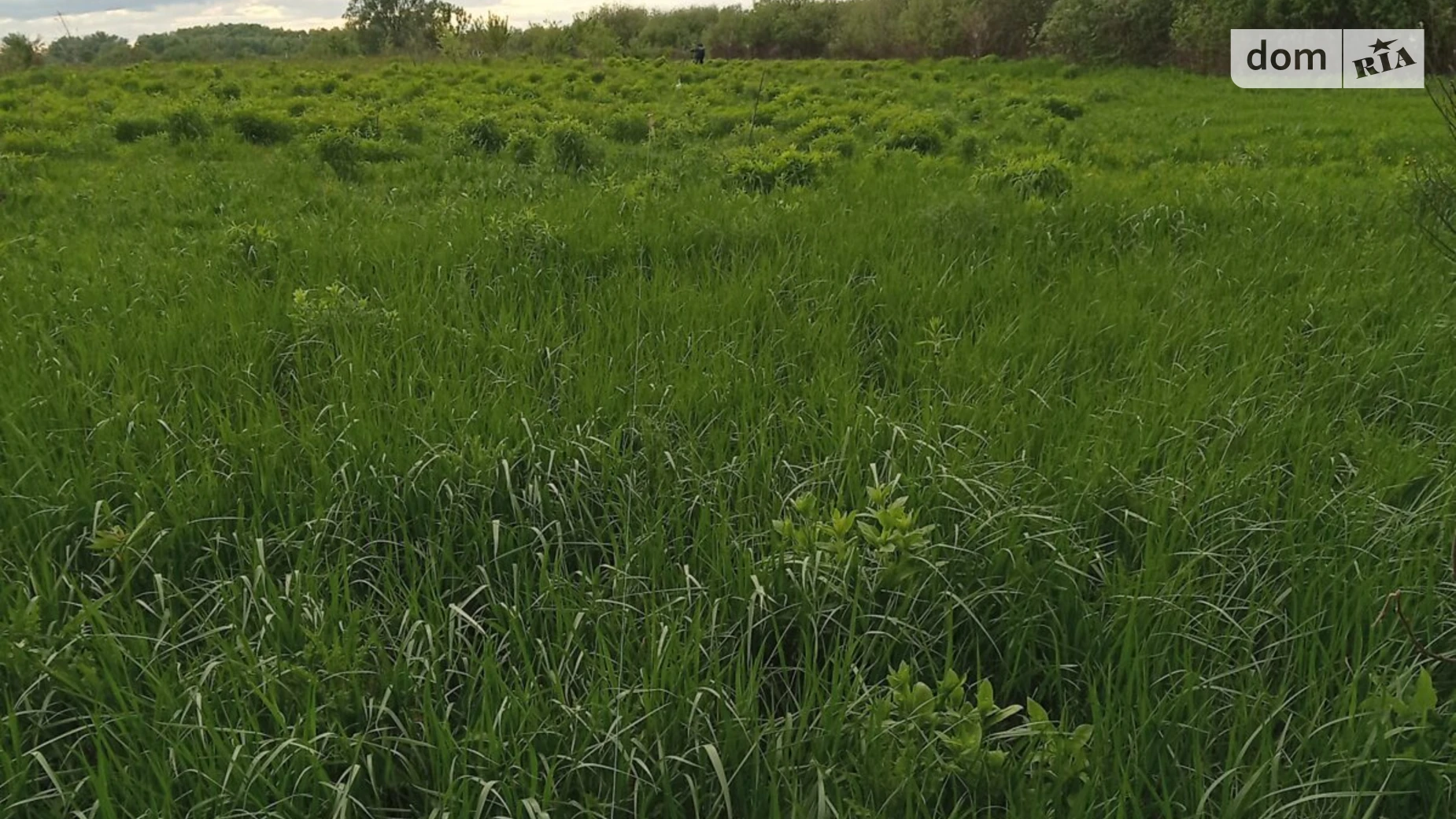 Продається земельна ділянка 10 соток у Київській області, цена: 5500 $ - фото 5