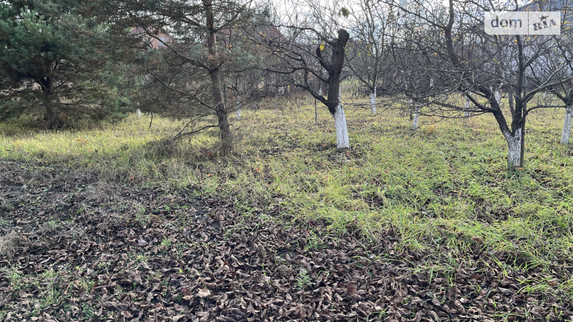 Продається земельна ділянка 9 соток у Вінницькій області, цена: 80000 $ - фото 3