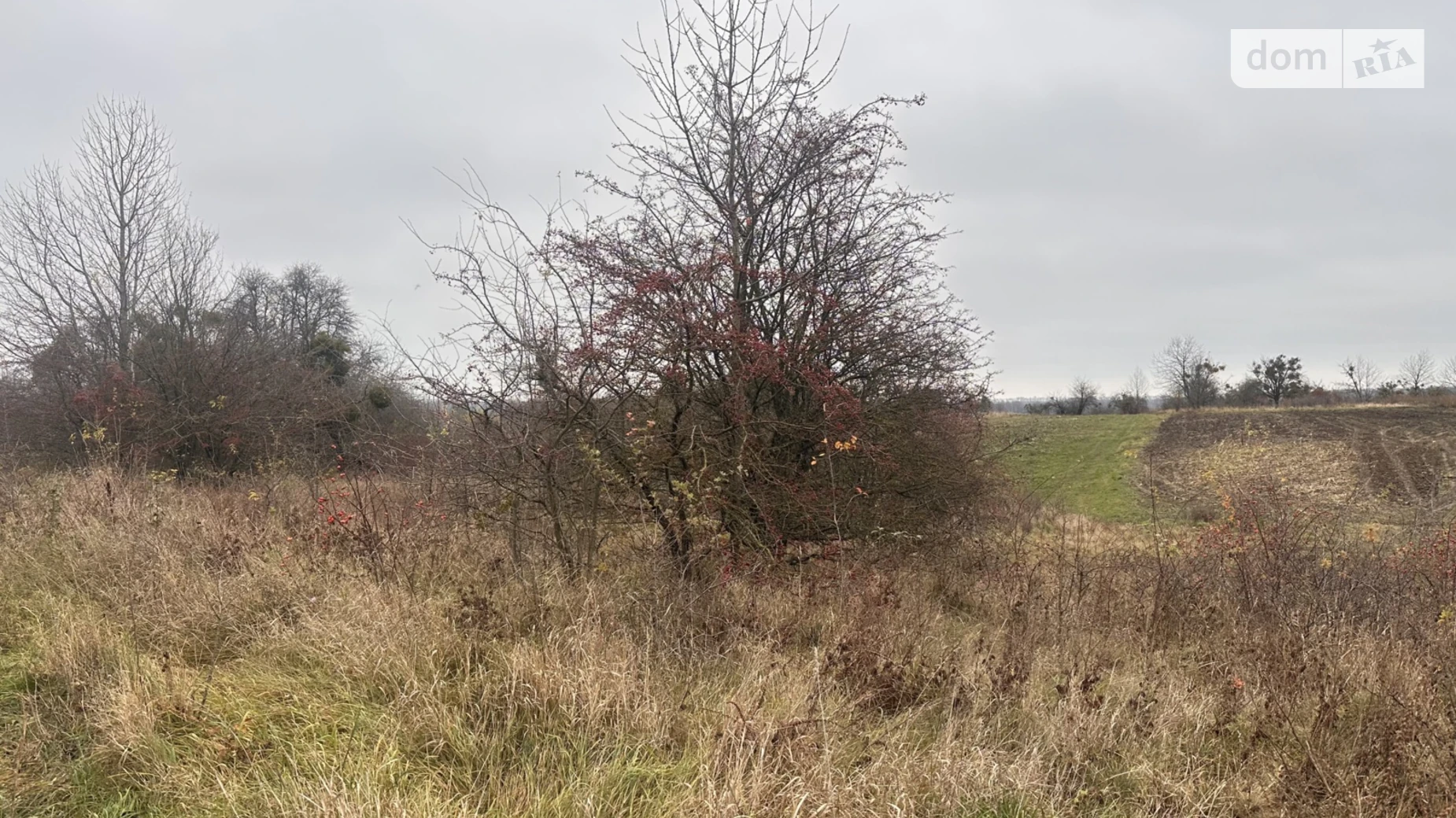 Продается земельный участок 16 соток в Винницкой области, цена: 10000 $ - фото 5