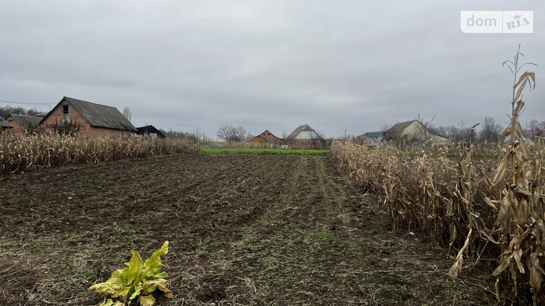 Продается земельный участок 18.92 соток в Винницкой области, цена: 11000 $ - фото 2