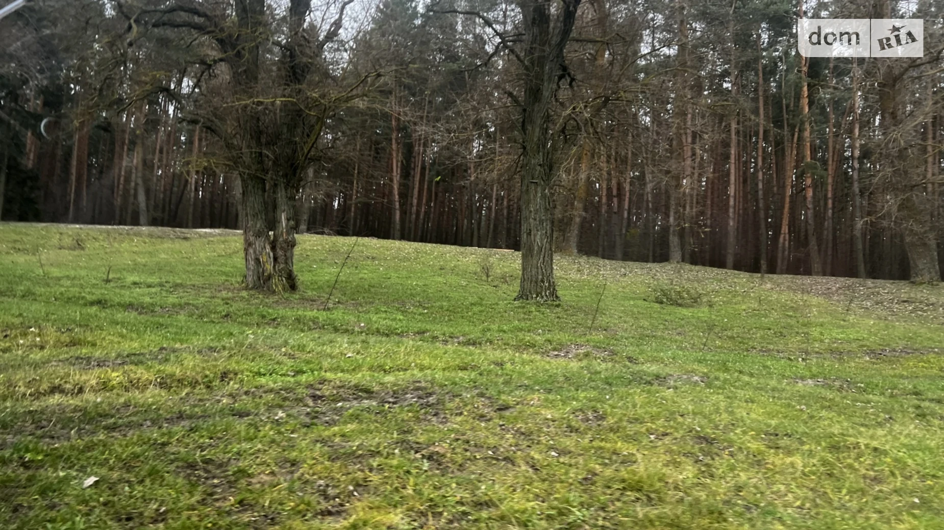 Продается земельный участок 18.92 соток в Винницкой области, цена: 11000 $ - фото 4