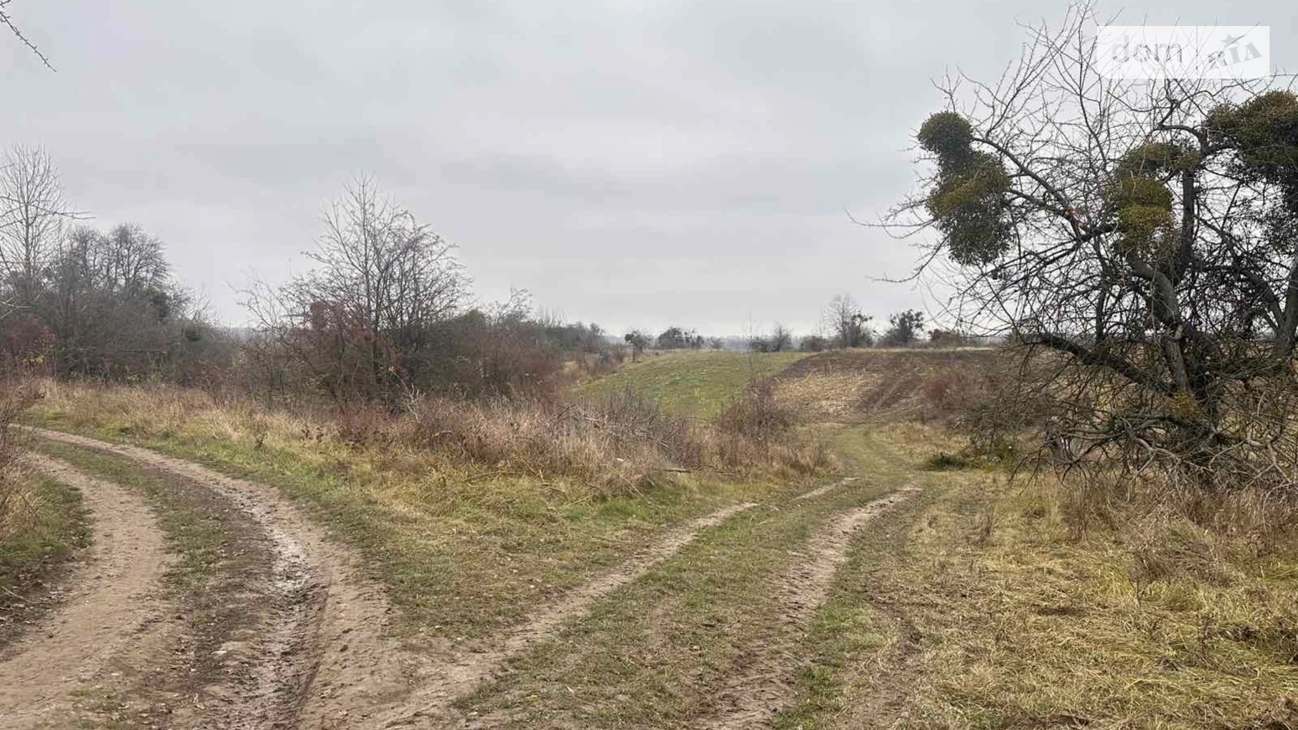 Продается земельный участок 16 соток в Винницкой области, цена: 10000 $ - фото 2