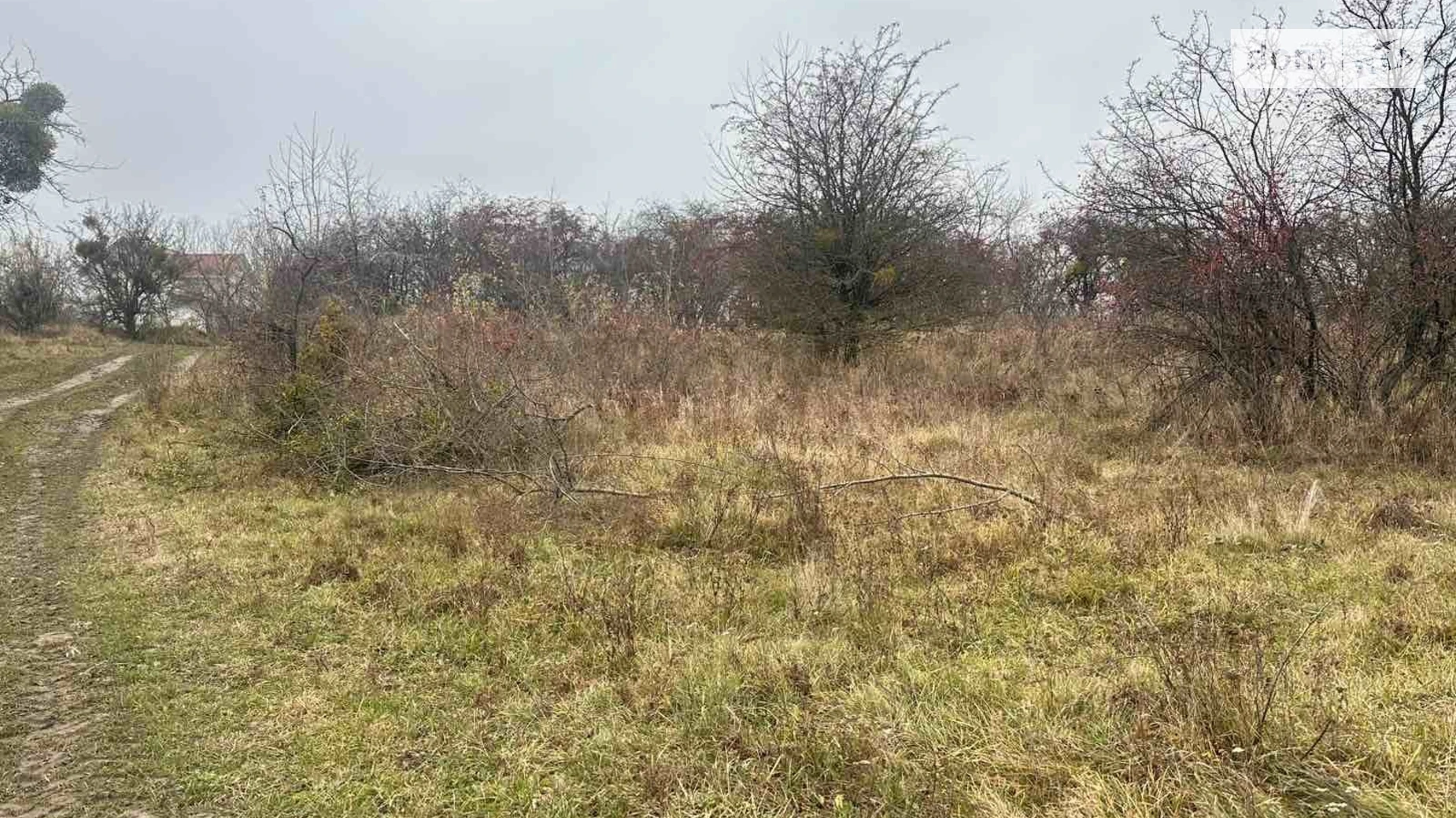 Продается земельный участок 16 соток в Винницкой области, цена: 10000 $ - фото 3