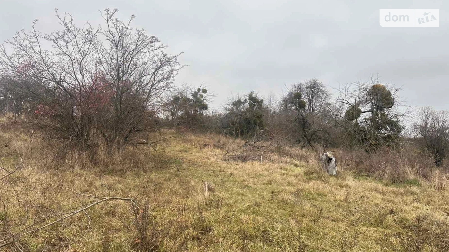 Продается земельный участок 16 соток в Винницкой области, цена: 10000 $ - фото 4