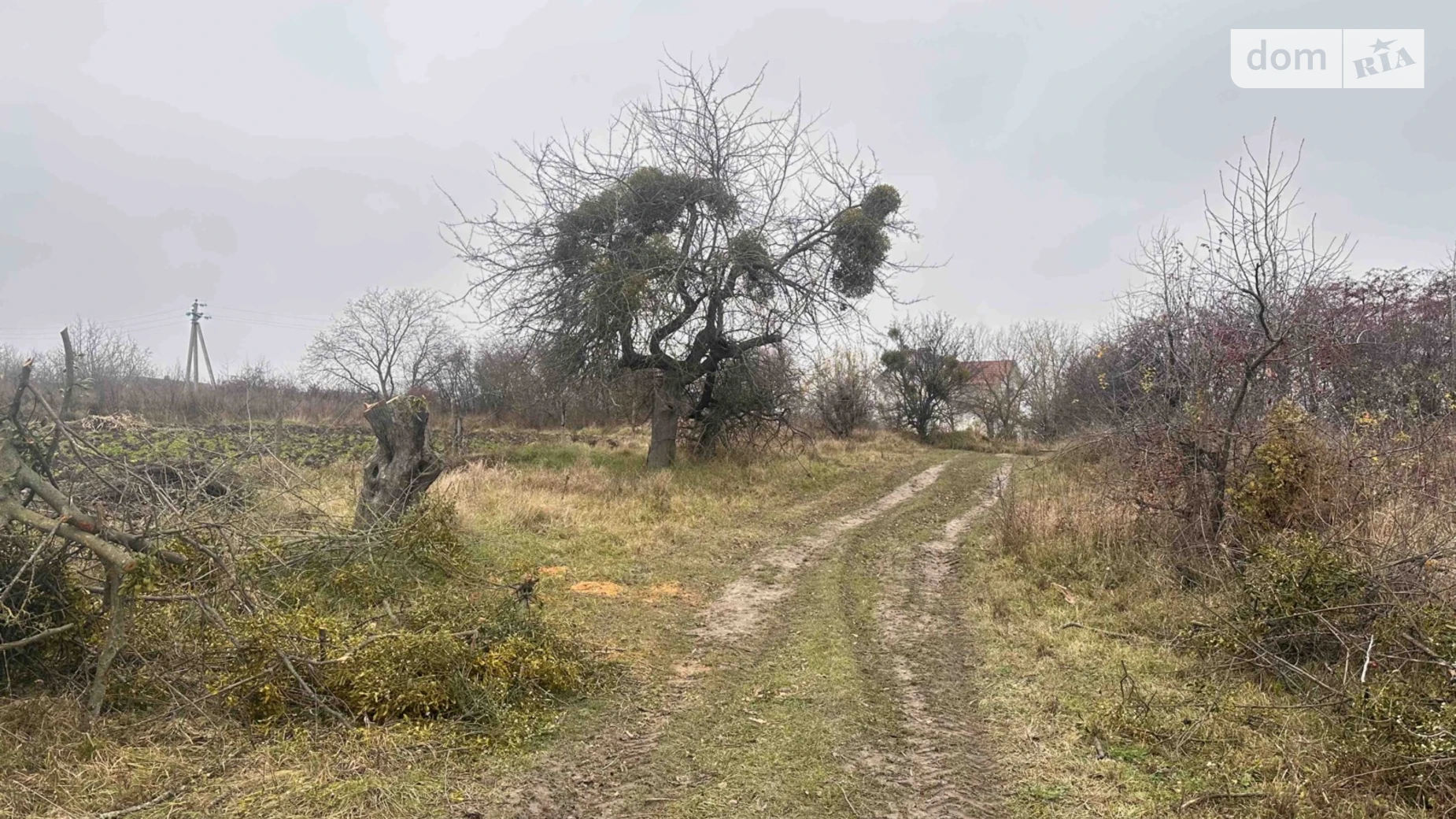Продается земельный участок 16 соток в Винницкой области, цена: 10000 $ - фото 5