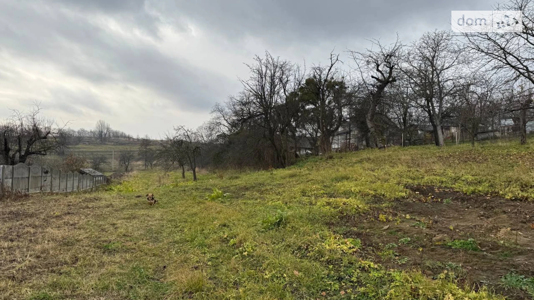 Продается одноэтажный дом 38 кв. м с гаражом, цена: 30000 $ - фото 5