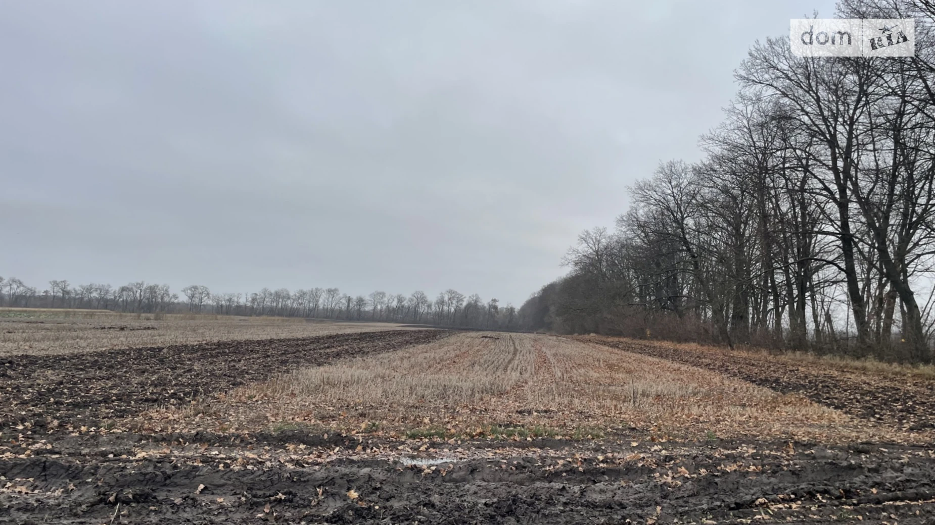 Продается земельный участок 125 соток в Винницкой области, цена: 67000 $ - фото 3