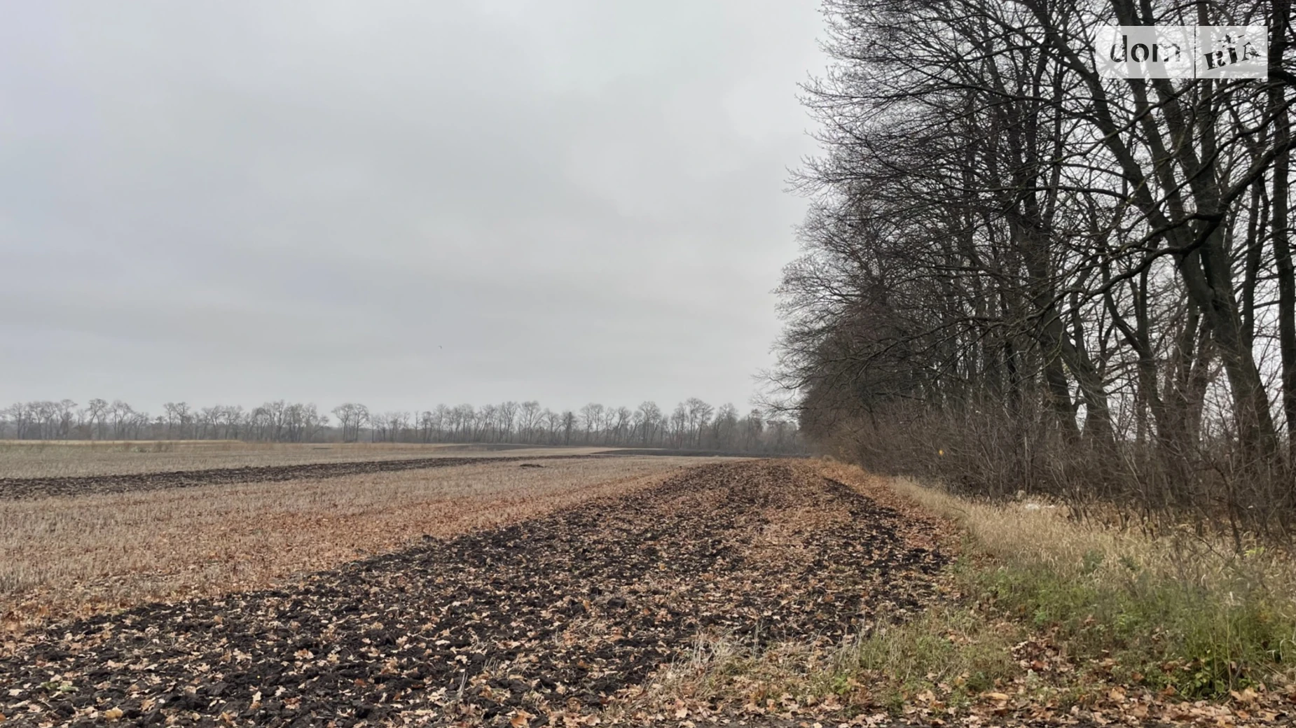 Продается земельный участок 125 соток в Винницкой области, цена: 67000 $ - фото 4