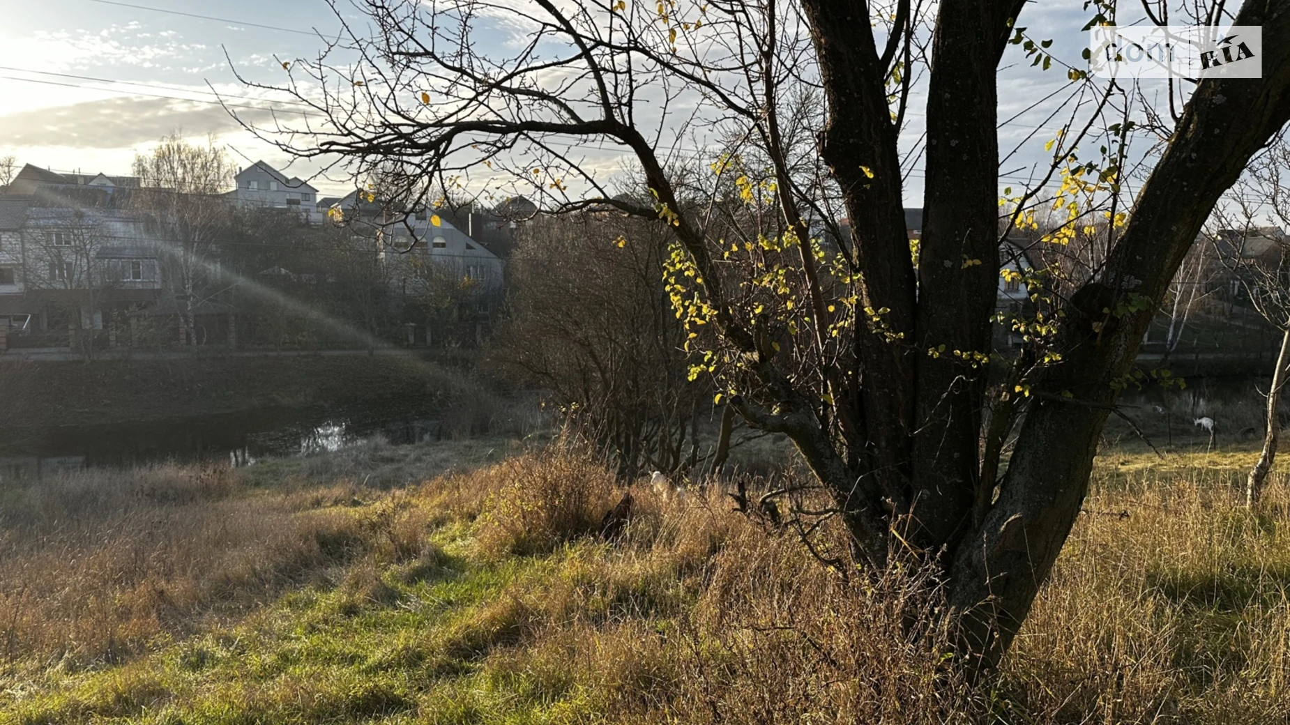 Продается земельный участок 10.5 соток в Винницкой области, цена: 10000 $ - фото 3