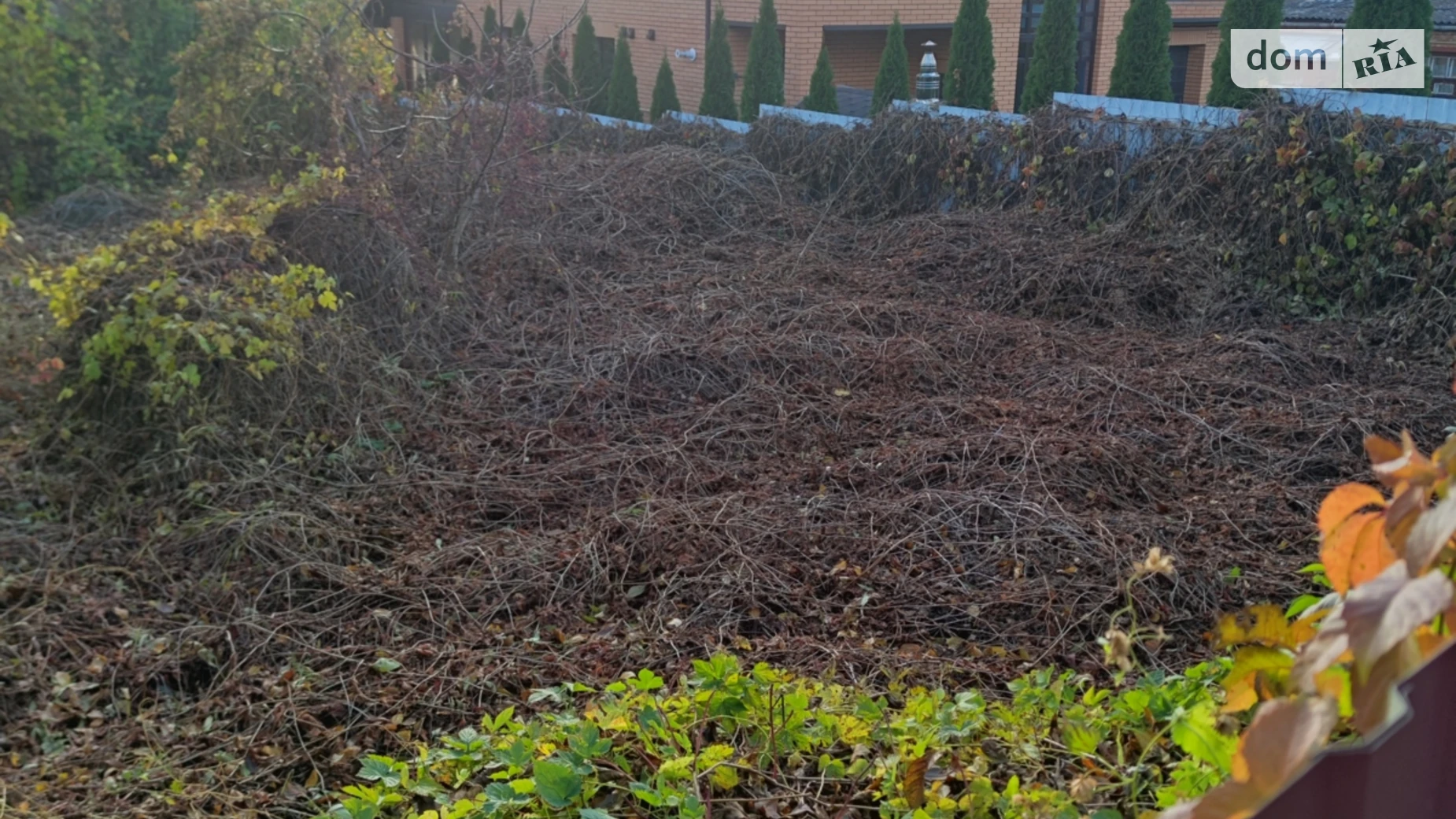 Продается земельный участок 6.66 соток в Винницкой области, цена: 57000 $ - фото 2