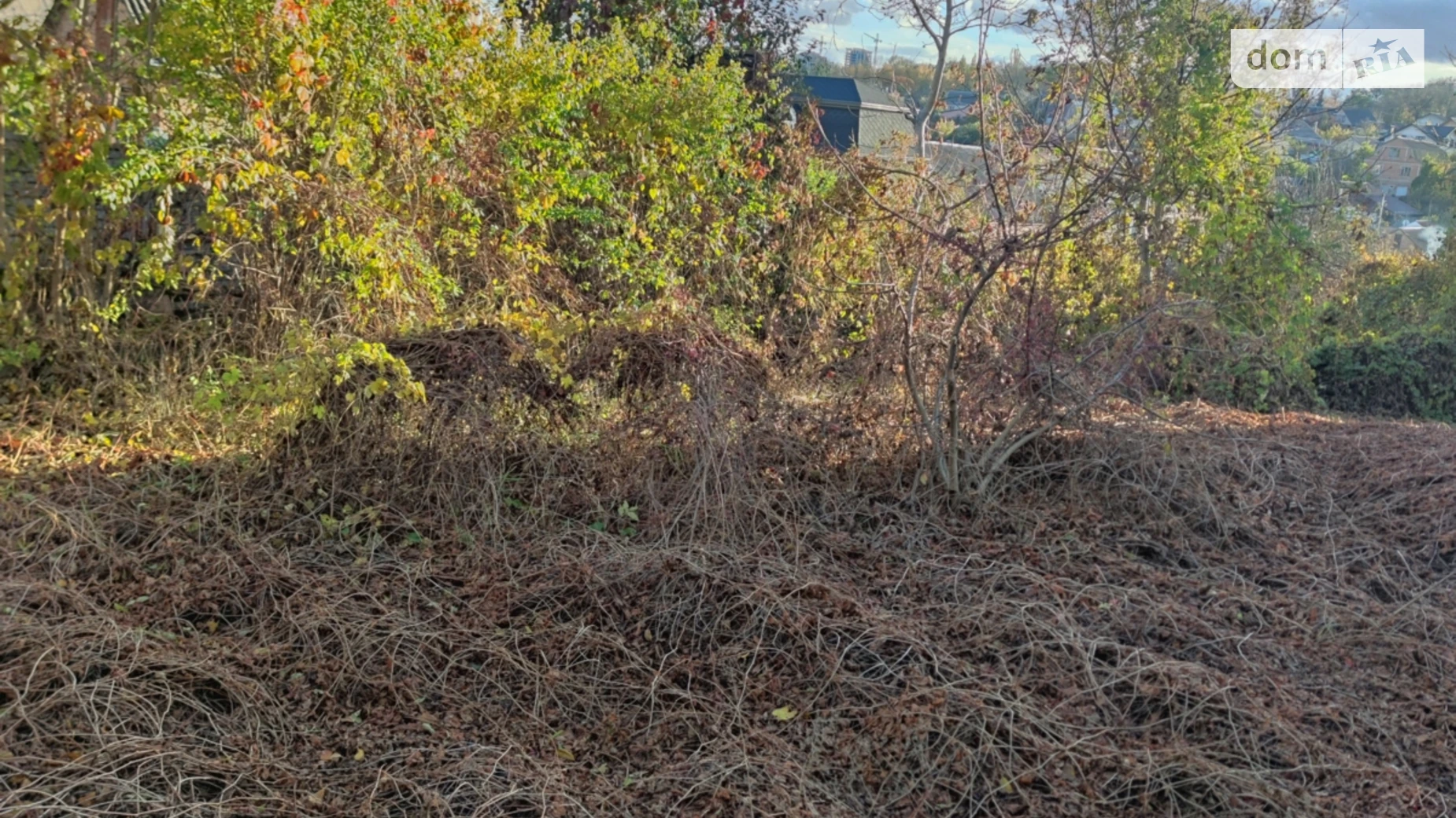 Продается земельный участок 6.66 соток в Винницкой области, цена: 57000 $ - фото 3