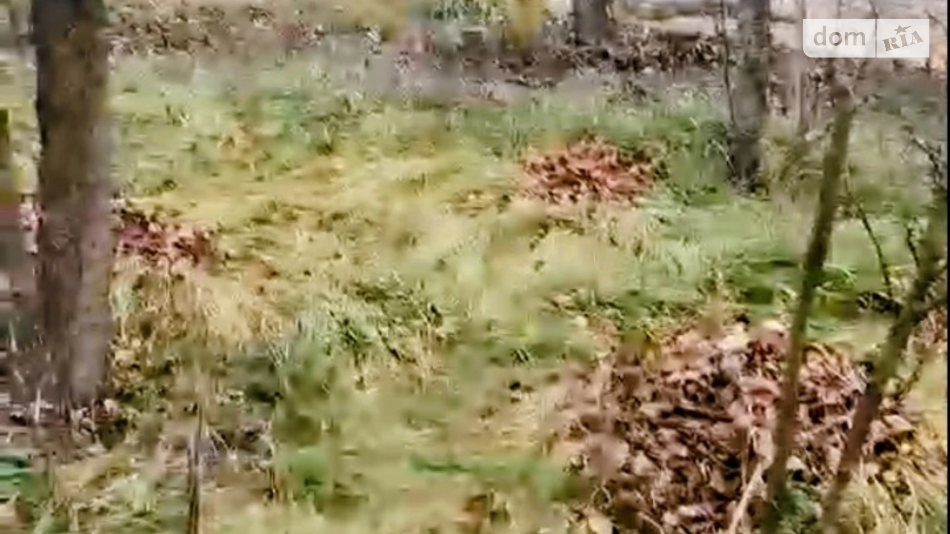 Продается земельный участок 0.1965 соток в Житомирской области, цена: 39990 $ - фото 2