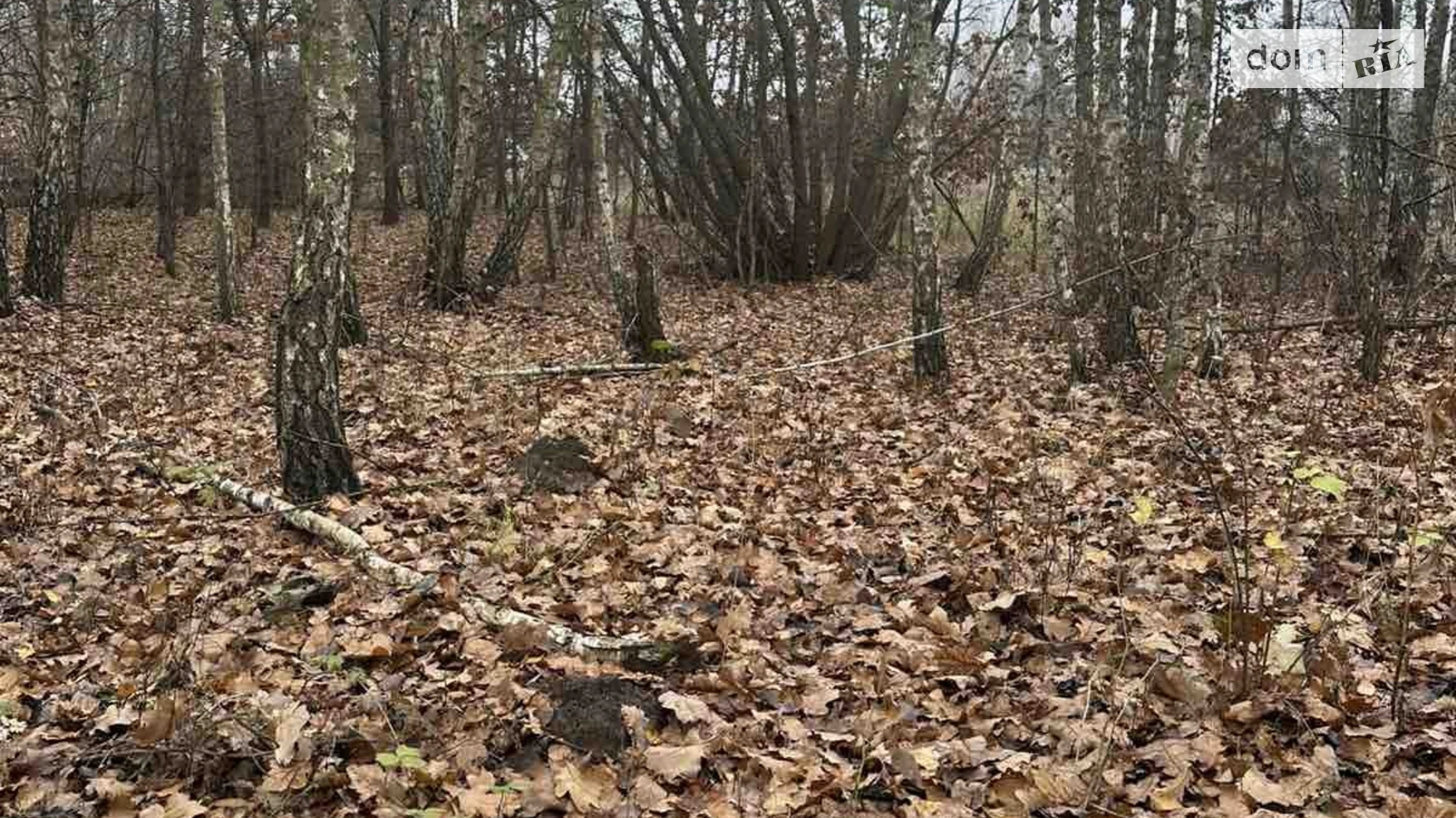 Продается земельный участок 12.1 соток в Киевской области, цена: 5500 $ - фото 5