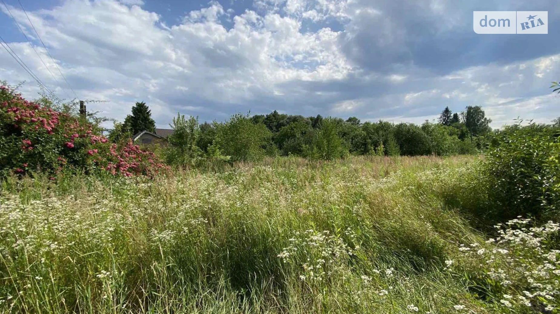 Продается земельный участок 12.52 соток в Ивано-Франковской области, цена: 7000 $ - фото 5