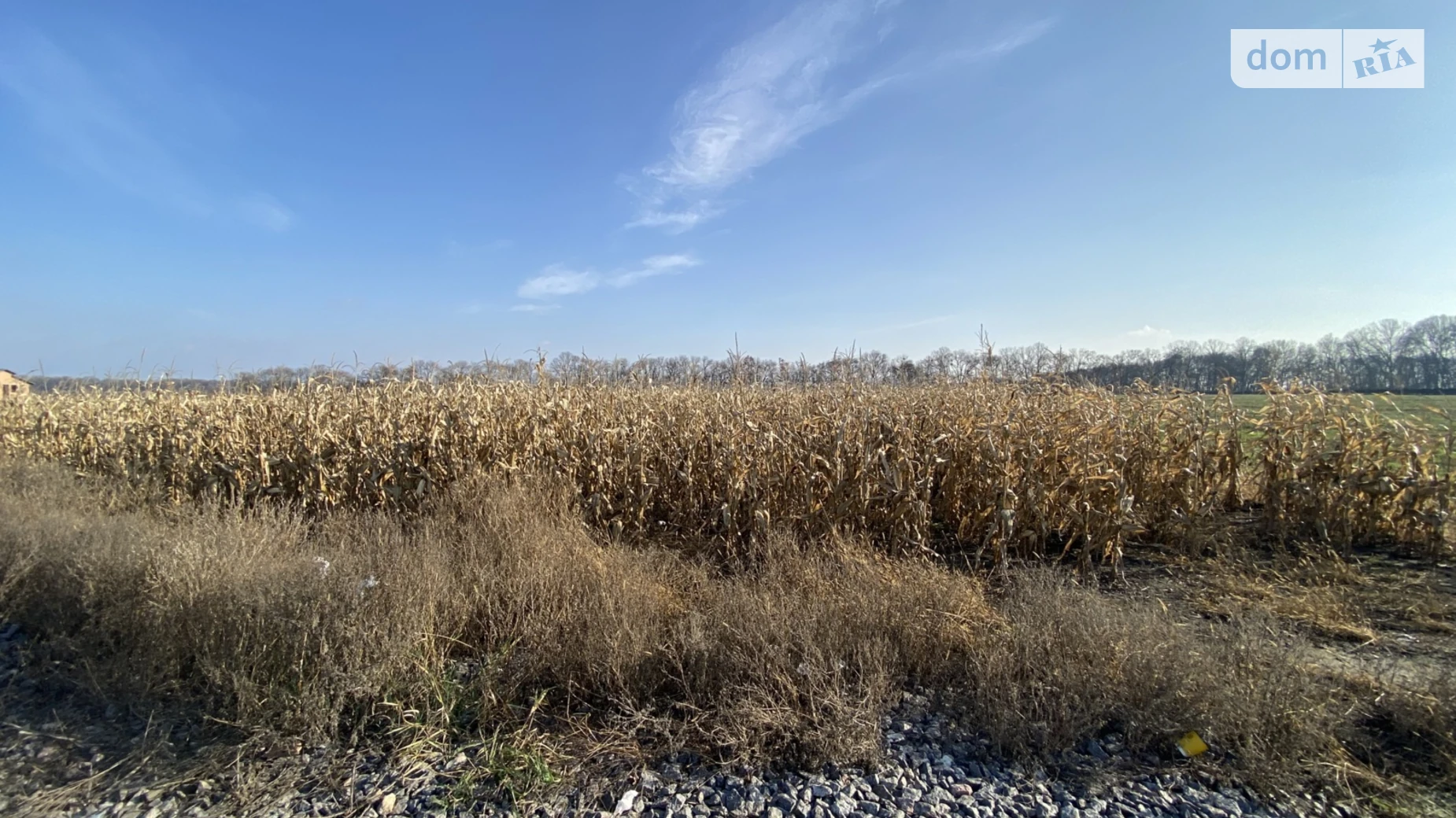 3-й пер. Чупрынки Григория Тяжилов Винница, цена: 200000 $ - фото 3