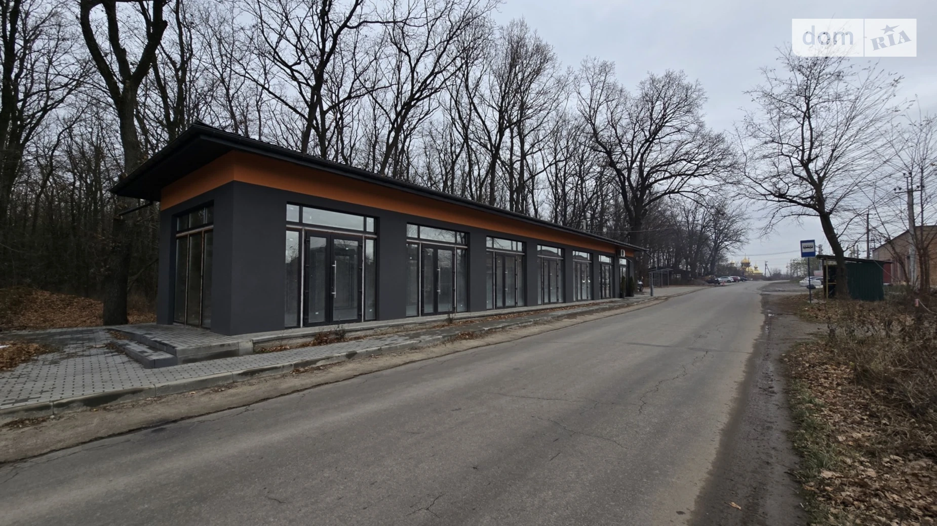 ул. Главная Прибужское (Шкуринци), цена: 210000 $ - фото 2