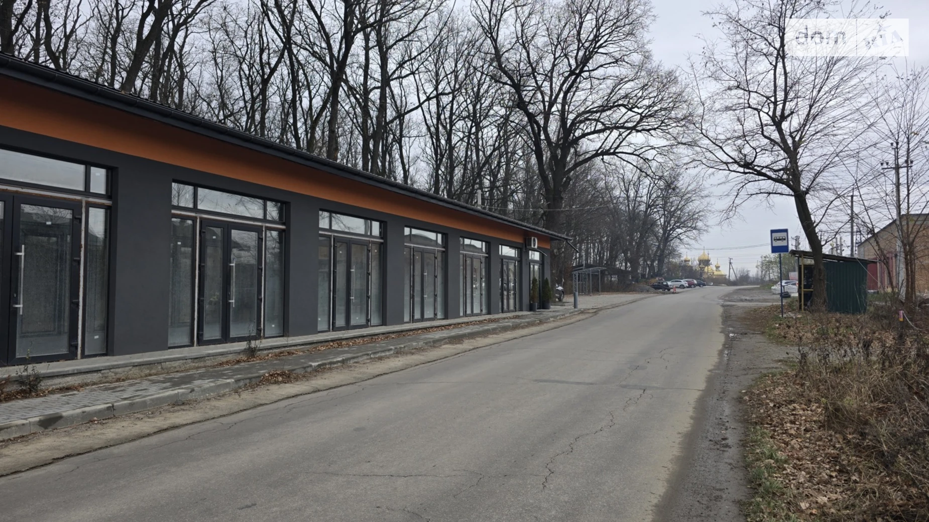 ул. Андрея Шептицкого Прибужское (Шкуринци), цена: 42000 $ - фото 2