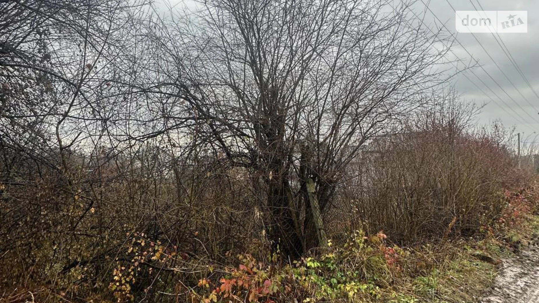 Продается земельный участок 6 соток в Львовской области, цена: 19000 $ - фото 4
