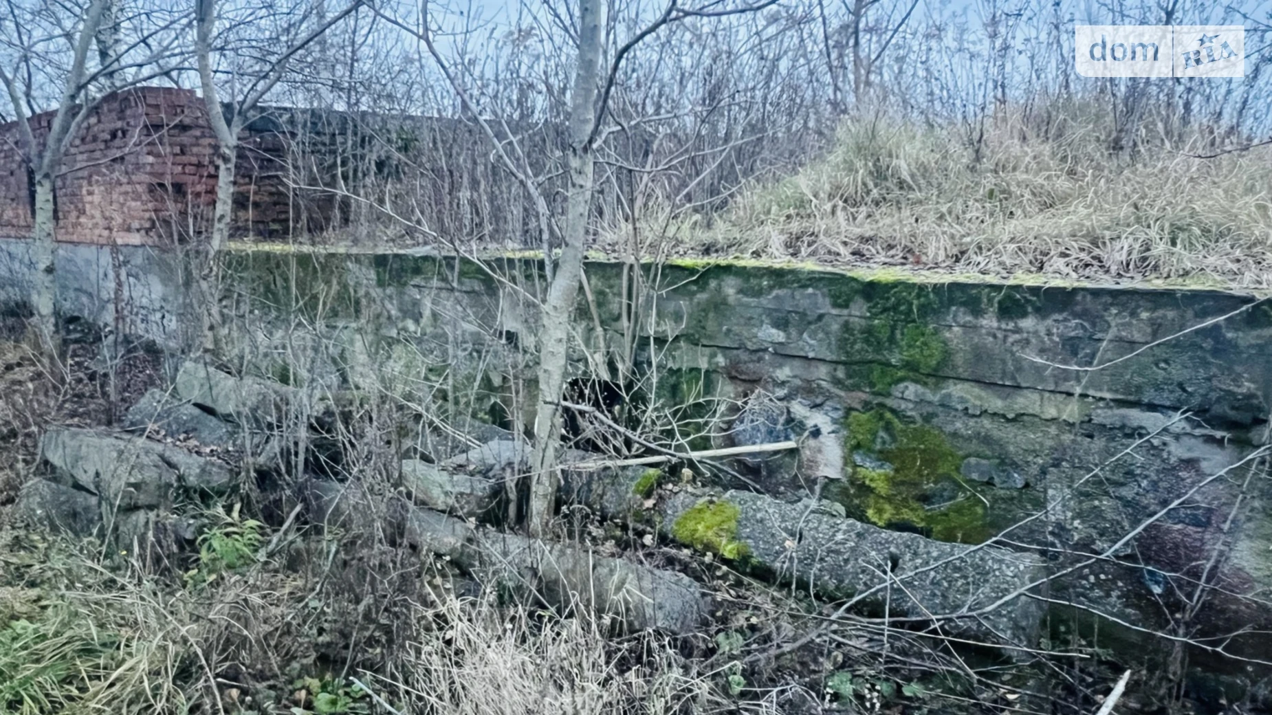 Продается земельный участок 15 соток в Винницкой области, цена: 15000 $ - фото 4