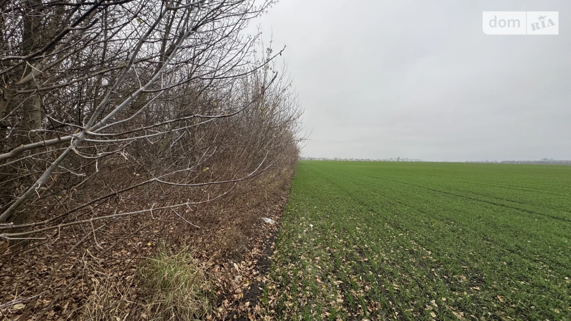 Продається земельна ділянка 5 соток у Вінницькій області, цена: 17000 $ - фото 2