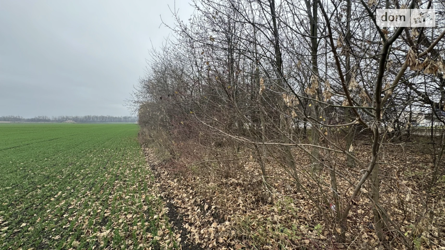 Продається земельна ділянка 5 соток у Вінницькій області, цена: 17000 $ - фото 3