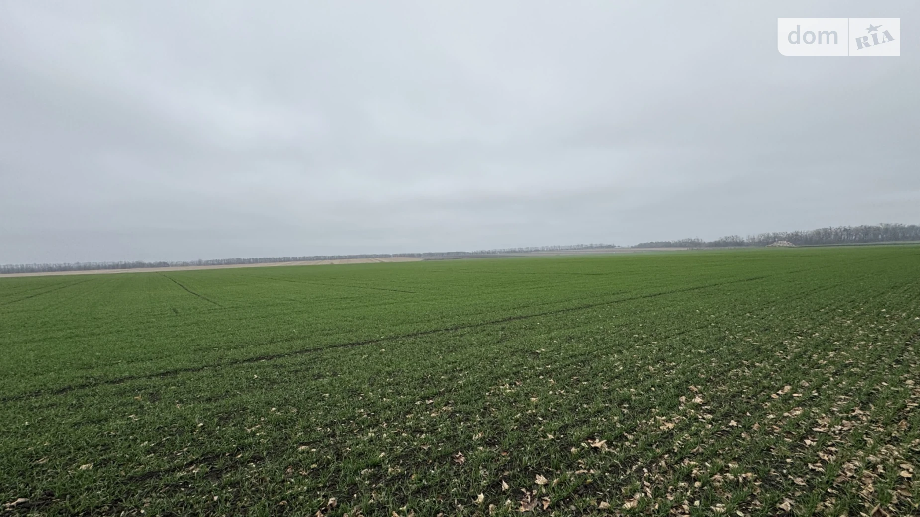 Продається земельна ділянка 5 соток у Вінницькій області, цена: 17000 $ - фото 4