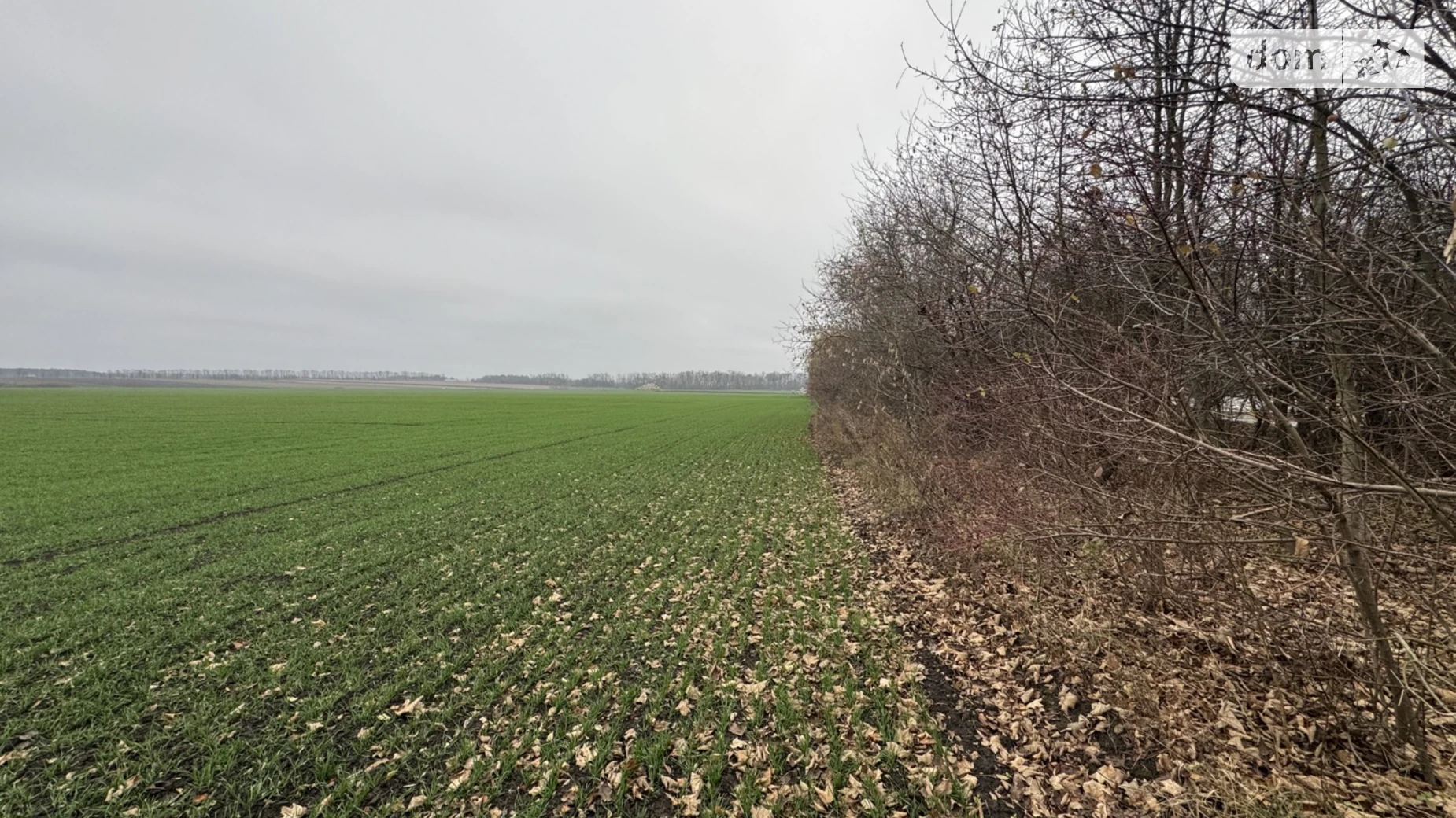 Продається земельна ділянка 5 соток у Вінницькій області, цена: 17000 $ - фото 5