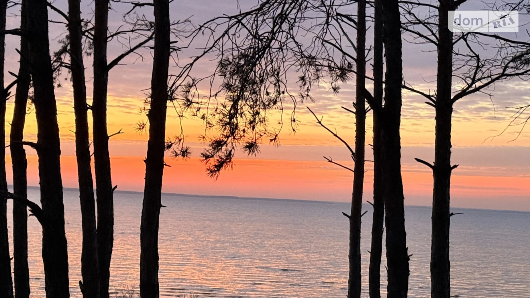 Продается земельный участок 10 соток в Киевской области, цена: 20000 $ - фото 2