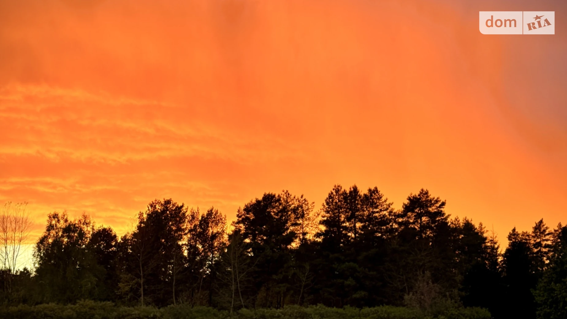 Продается земельный участок 10 соток в Киевской области, цена: 20000 $ - фото 4