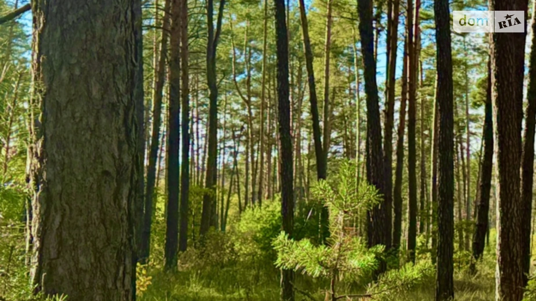 Продается земельный участок 10 соток в Киевской области, цена: 20000 $ - фото 5