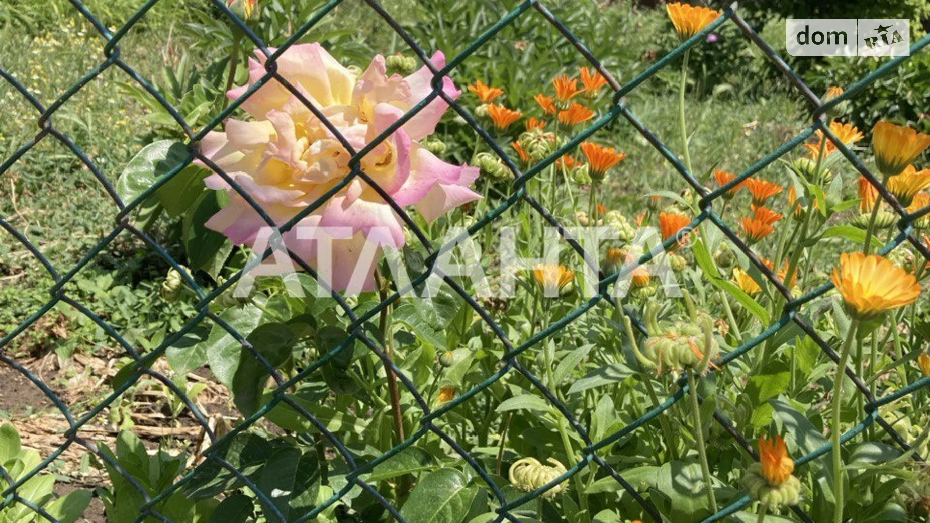 Продается одноэтажный дом 77.4 кв. м с мансардой, цена: 12500 $ - фото 4