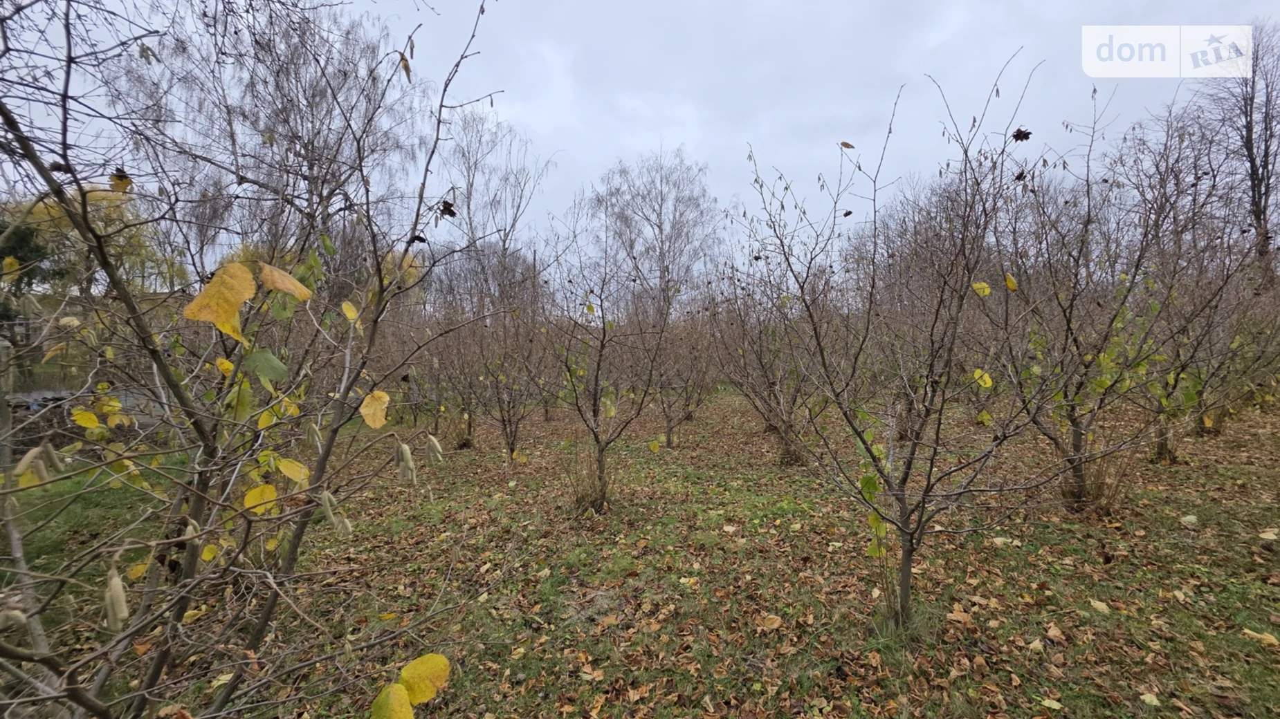 пер. Праздничный(Колхозный) Кирнасовка, цена: 31500 $ - фото 3