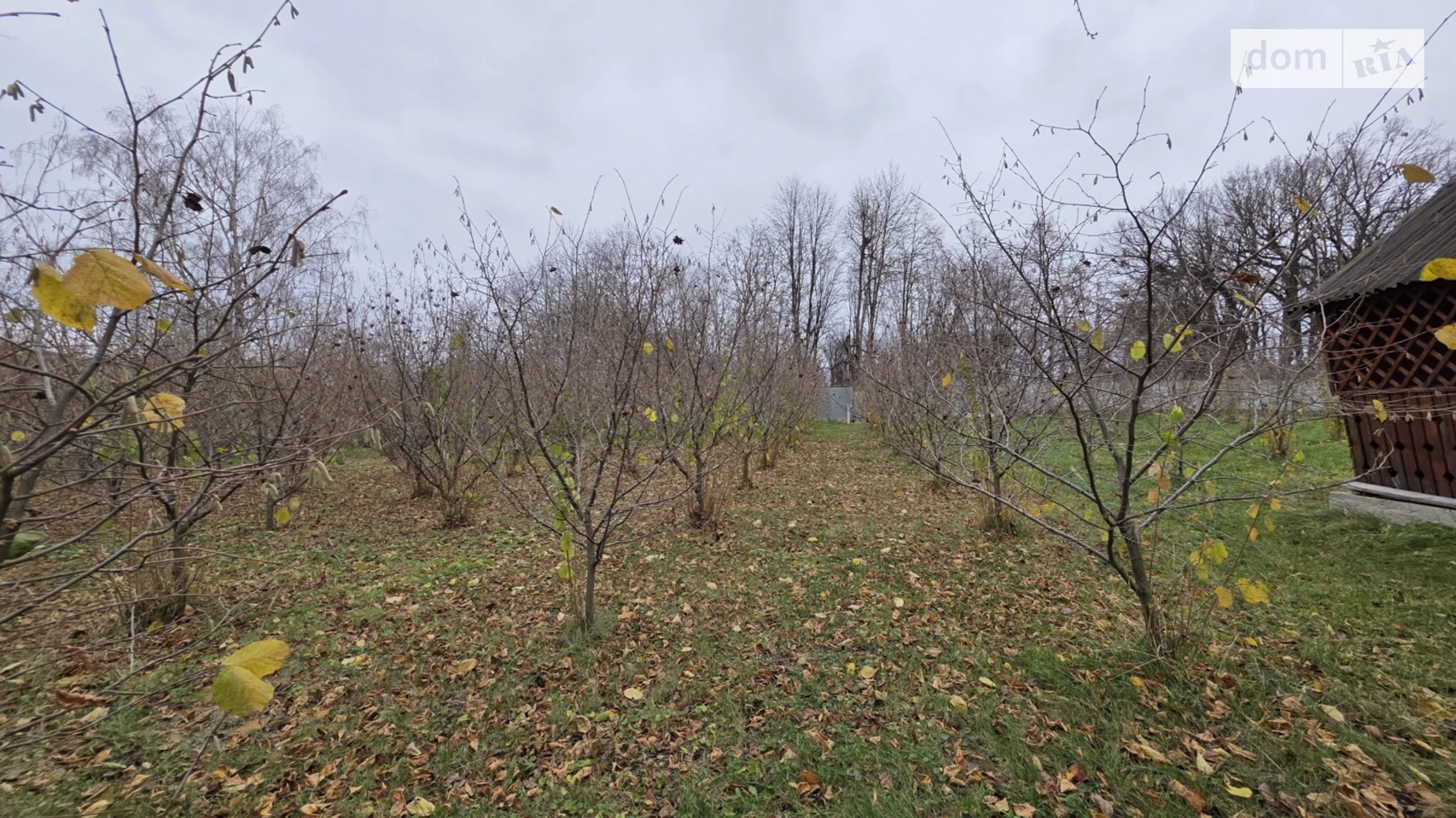 пер. Праздничный(Колхозный) Кирнасовка, цена: 31500 $ - фото 4