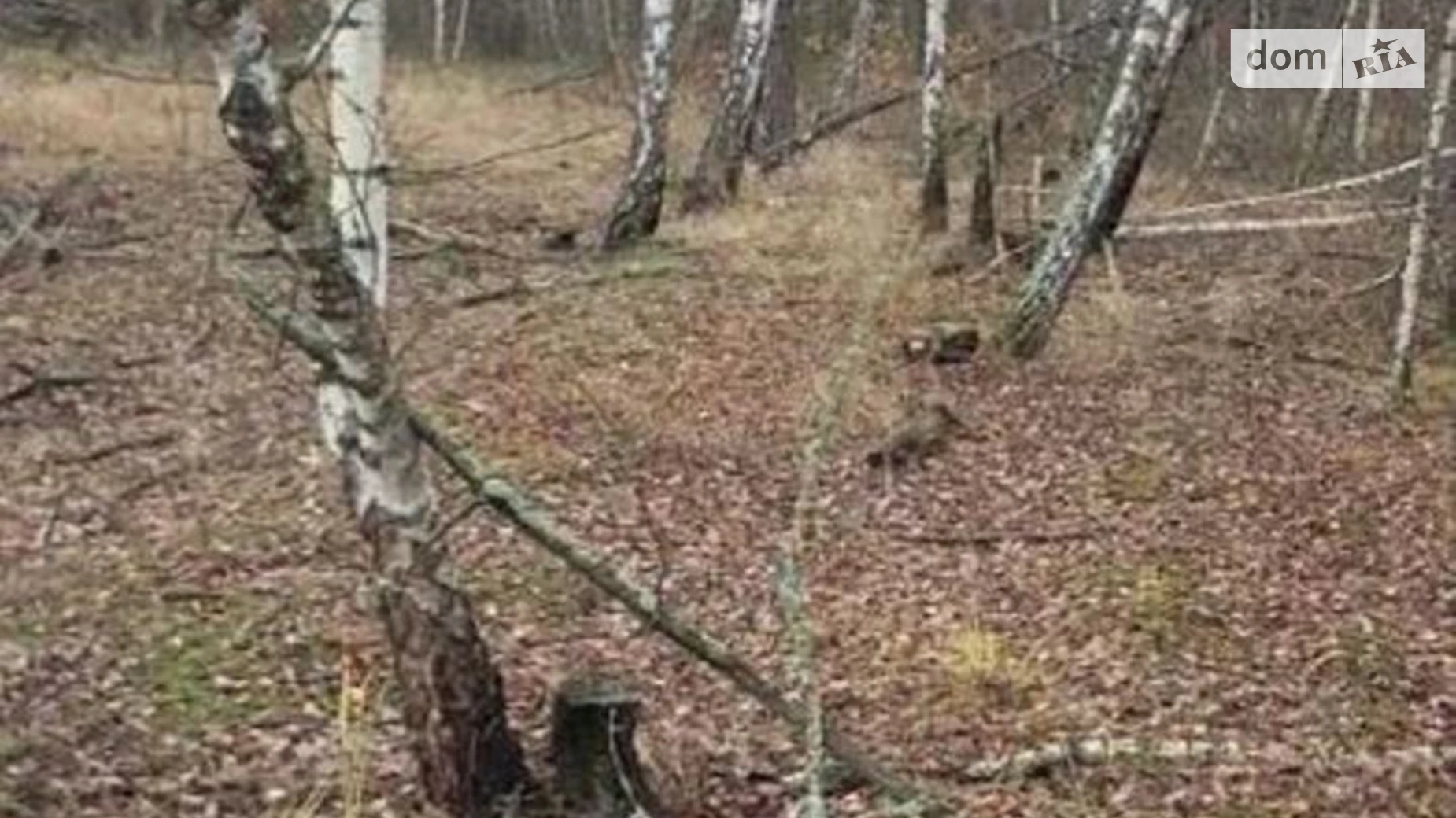 Продается земельный участок 135 соток в Киевской области, цена: 40000 $ - фото 4