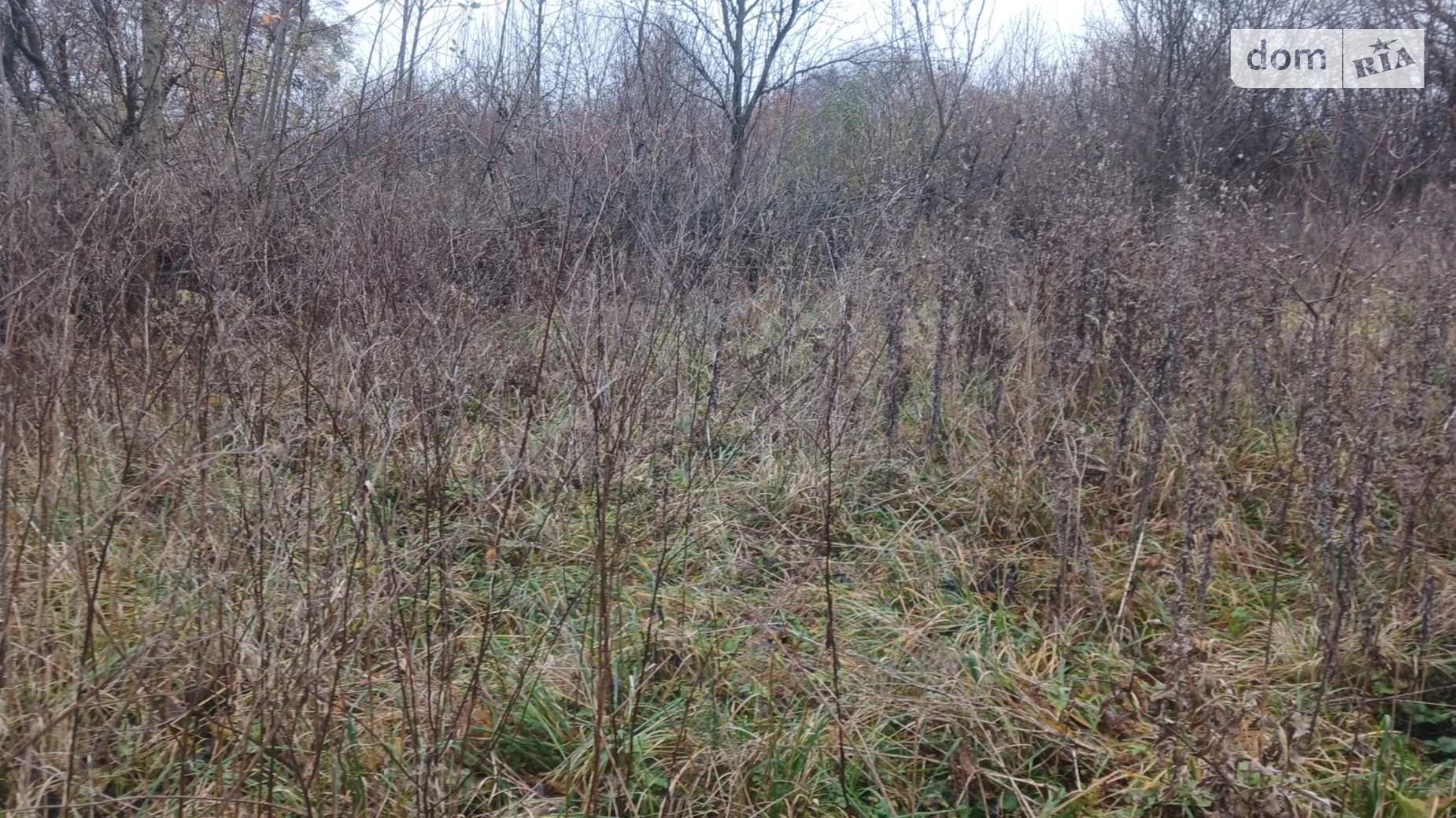 Продается земельный участок 21.24 соток в Хмельницкой области, цена: 8000 $ - фото 2