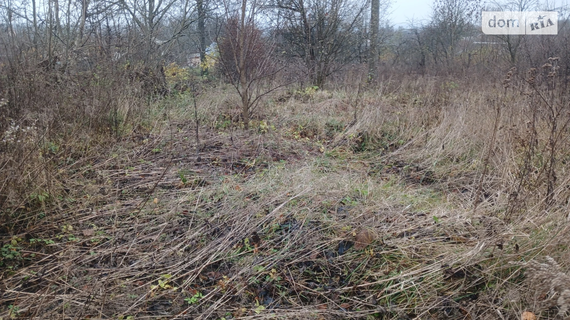 Продается земельный участок 21.24 соток в Хмельницкой области, цена: 8000 $ - фото 3