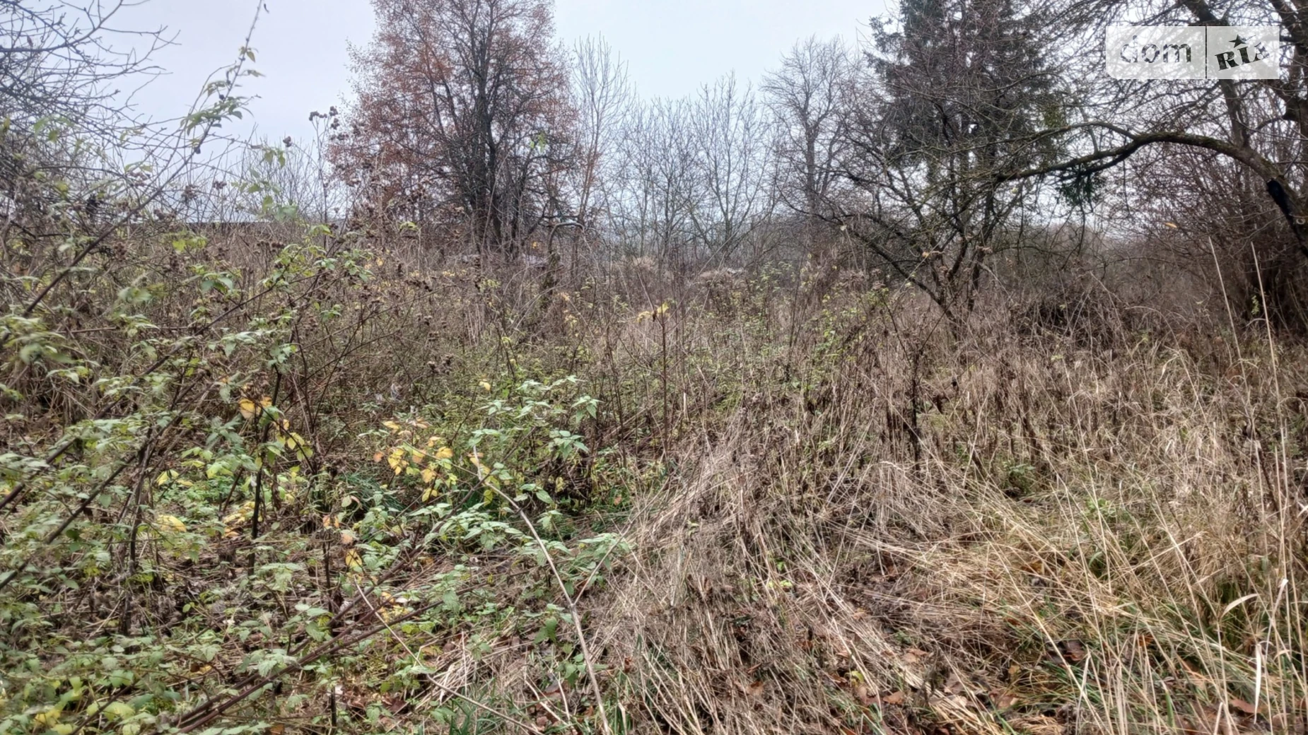 Продается земельный участок 21.24 соток в Хмельницкой области, цена: 8000 $ - фото 4