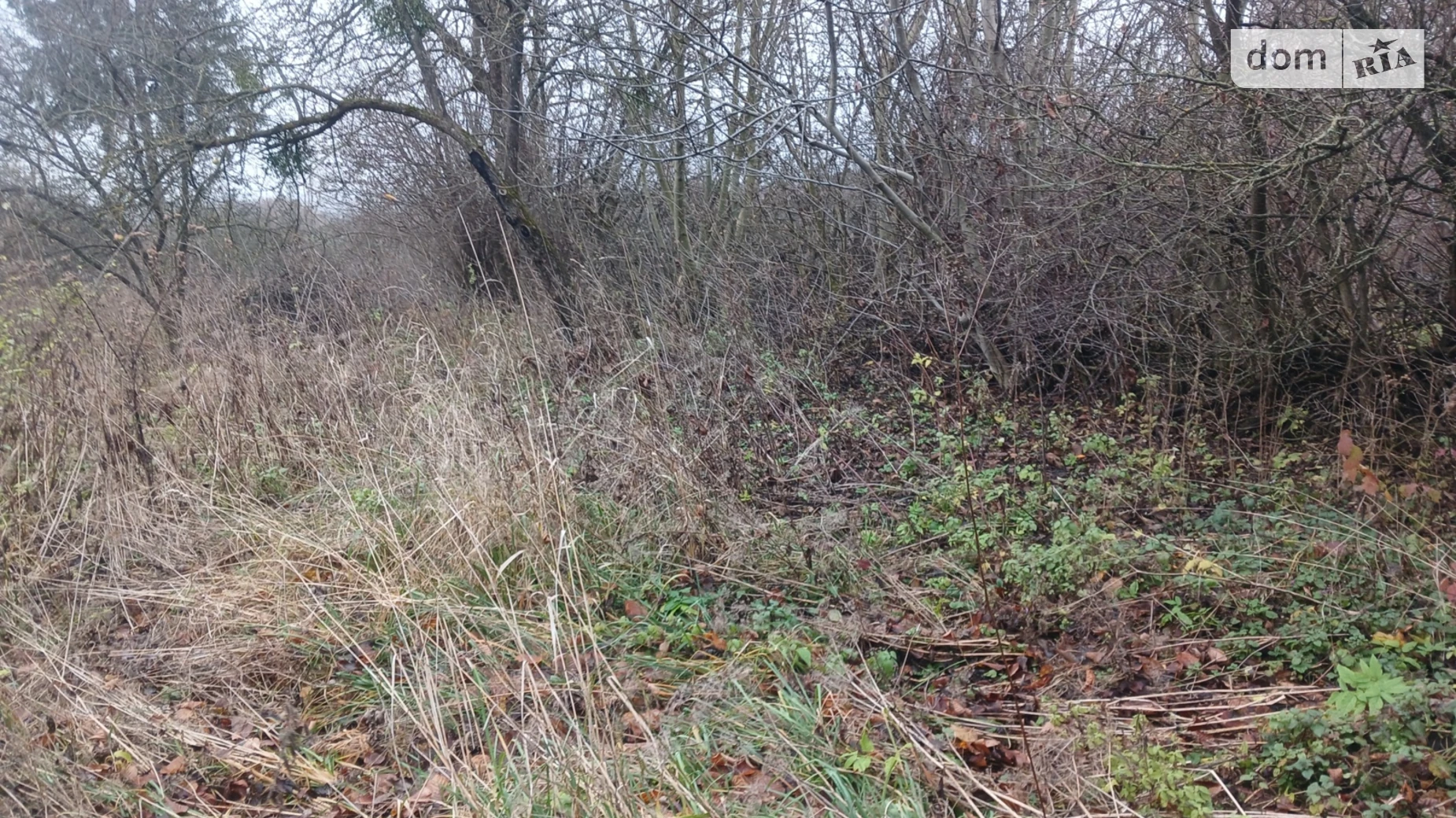 Продается земельный участок 21.24 соток в Хмельницкой области, цена: 8000 $ - фото 5