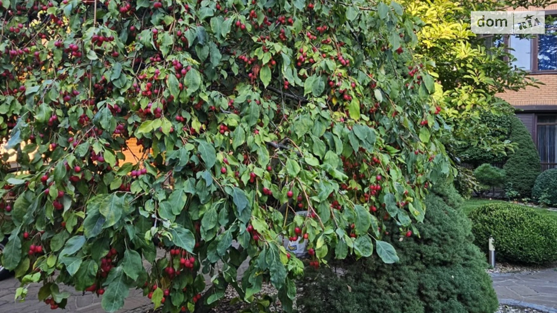 Сдается в аренду дом на 2 этажа 200 кв. м с верандой, цена: 2000 $ - фото 4