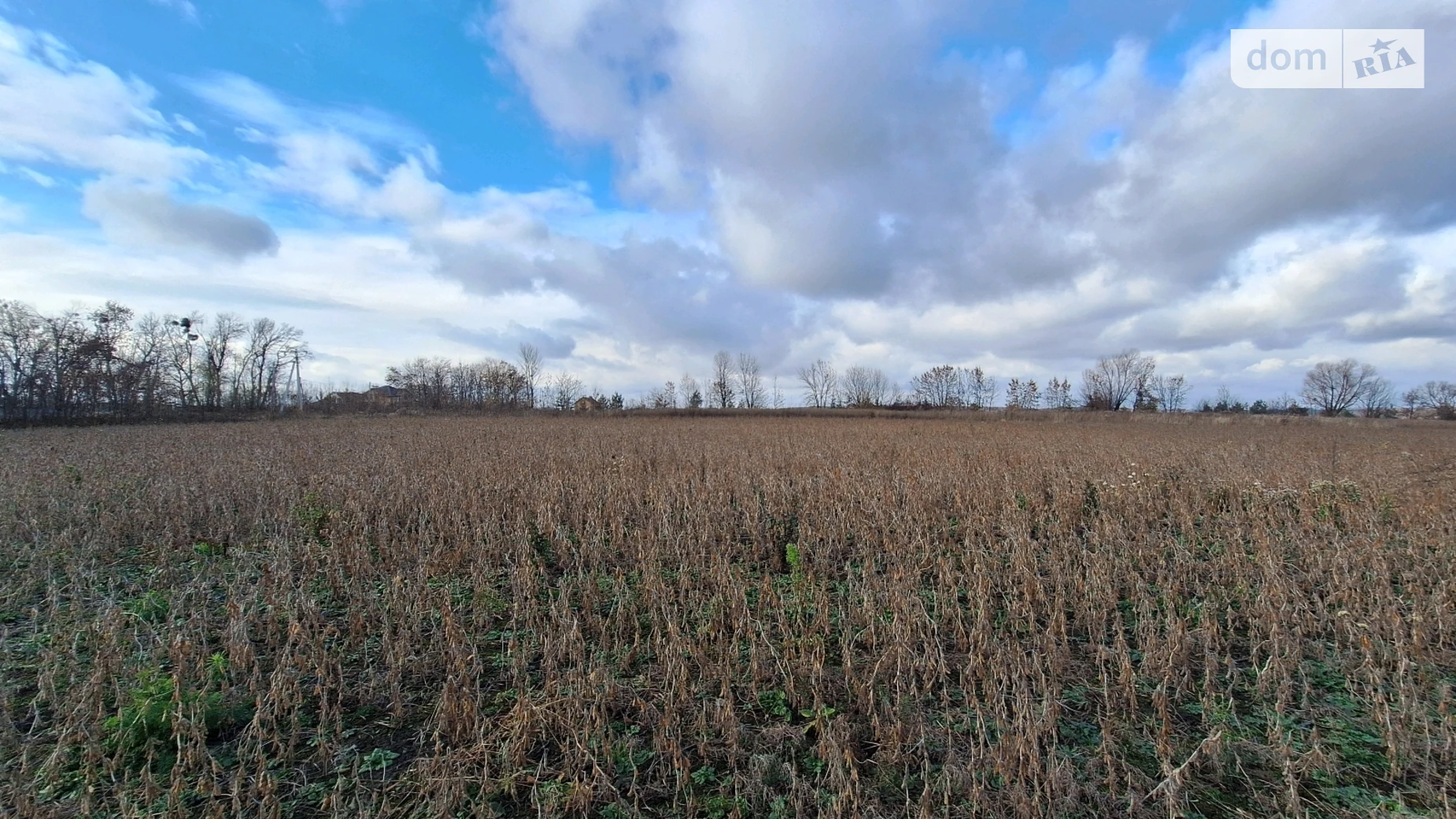 Продается земельный участок 15 соток в Хмельницкой области, цена: 6000 $ - фото 3