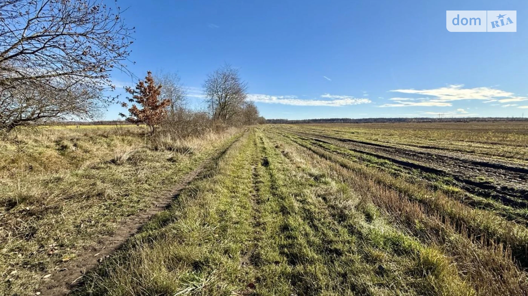Продается земельный участок 70.36 соток в Ивано-Франковской области, цена: 22500 € - фото 5