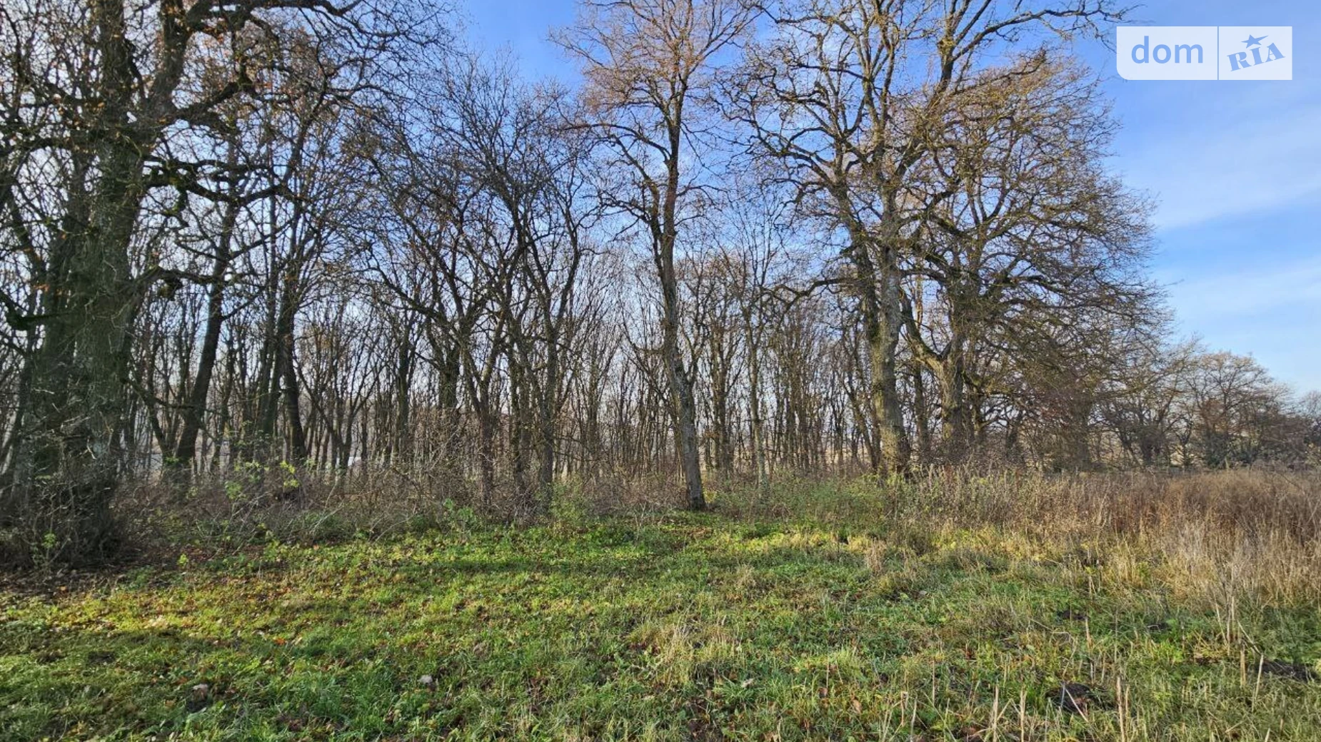 Продается земельный участок 11 соток в Тернопольской области, цена: 55000 $ - фото 2