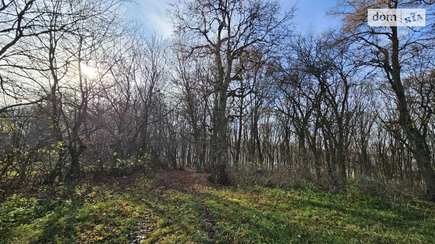 Продается земельный участок 11 соток в Тернопольской области, цена: 55000 $ - фото 3