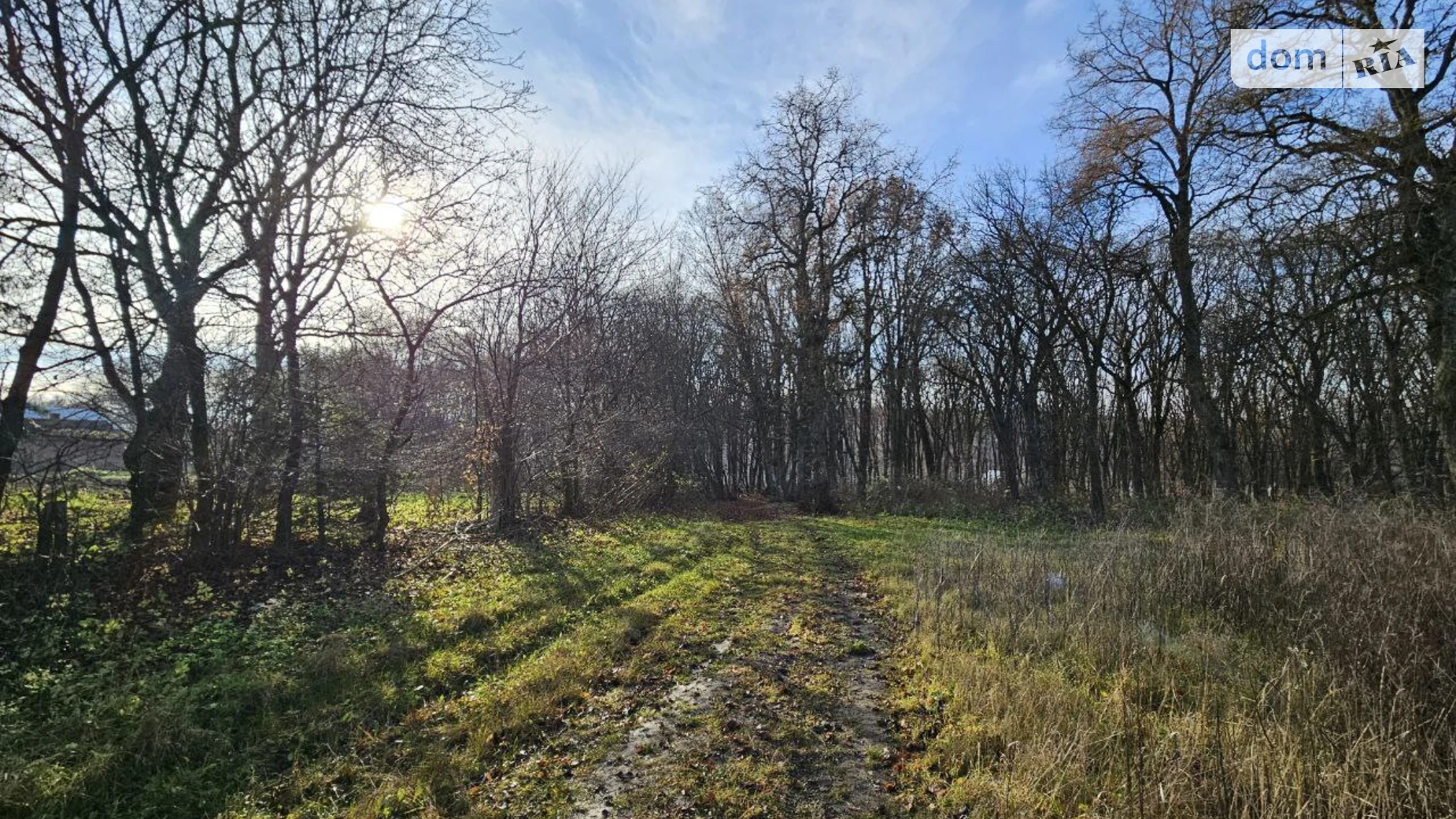 Продается земельный участок 11 соток в Тернопольской области, цена: 55000 $ - фото 4