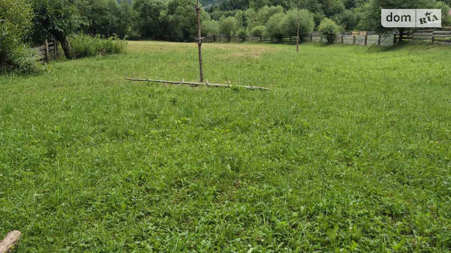 Продается земельный участок 29.06 соток в Закарпатской области, цена: 29000 $ - фото 3