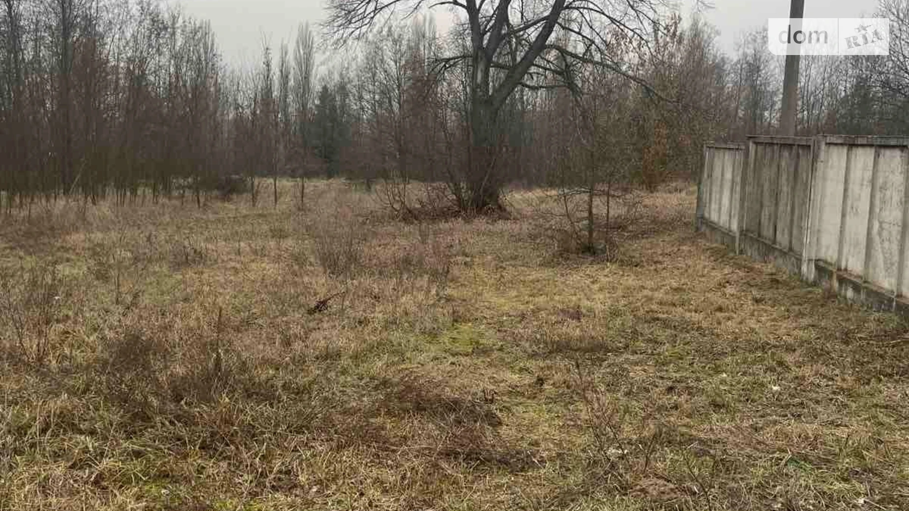 Сдается в аренду земельный участок 1.1583 соток в Житомирской области, цена: 1856 грн - фото 2