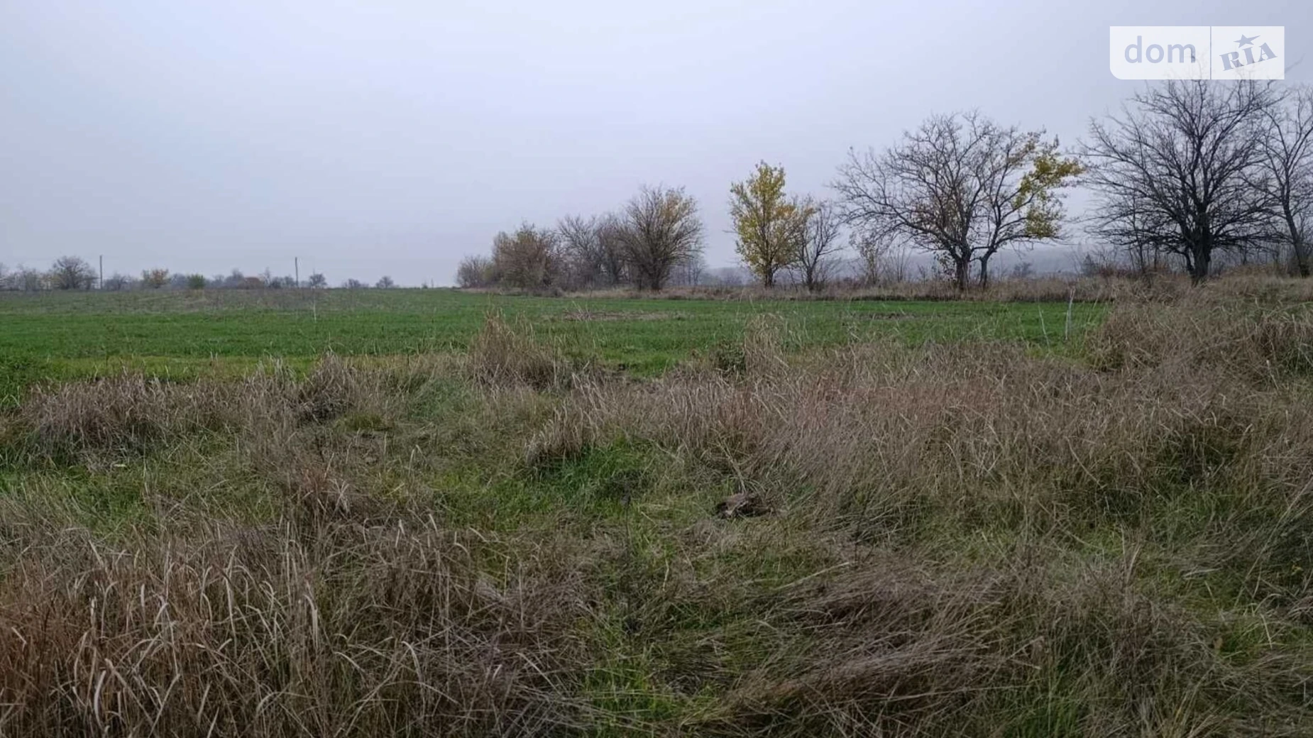Сдается в аренду земельный участок 3.43 соток в области, цена: 14950 грн - фото 2