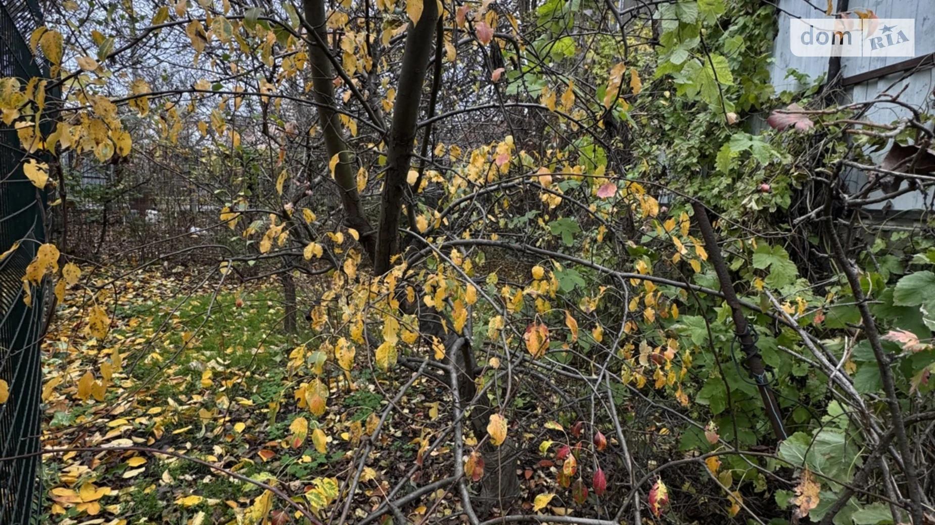 Продается земельный участок 6 соток в Одесской области, цена: 130000 $ - фото 3