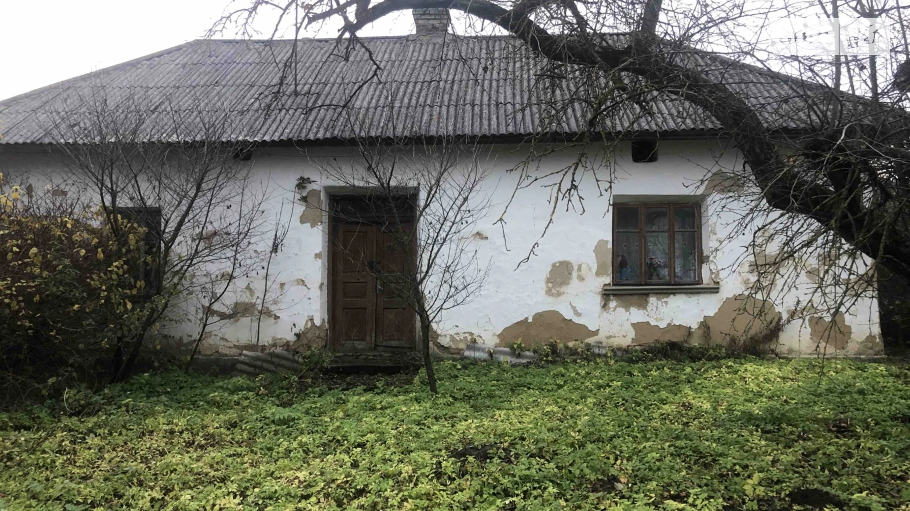 Продается земельный участок 25 соток в Тернопольской области, цена: 10000 $ - фото 2