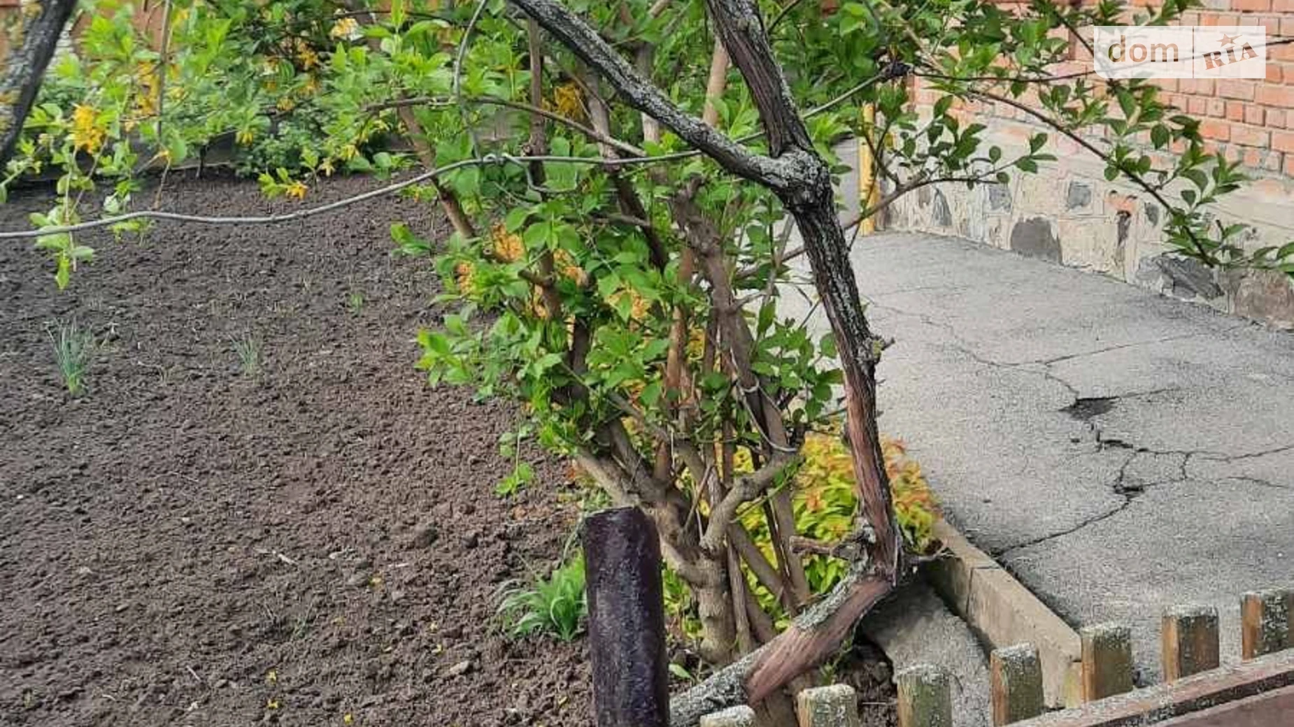 Сдается в оренду частина будинку 55 кв. м з ділянкою, цена: 9000 грн - фото 3